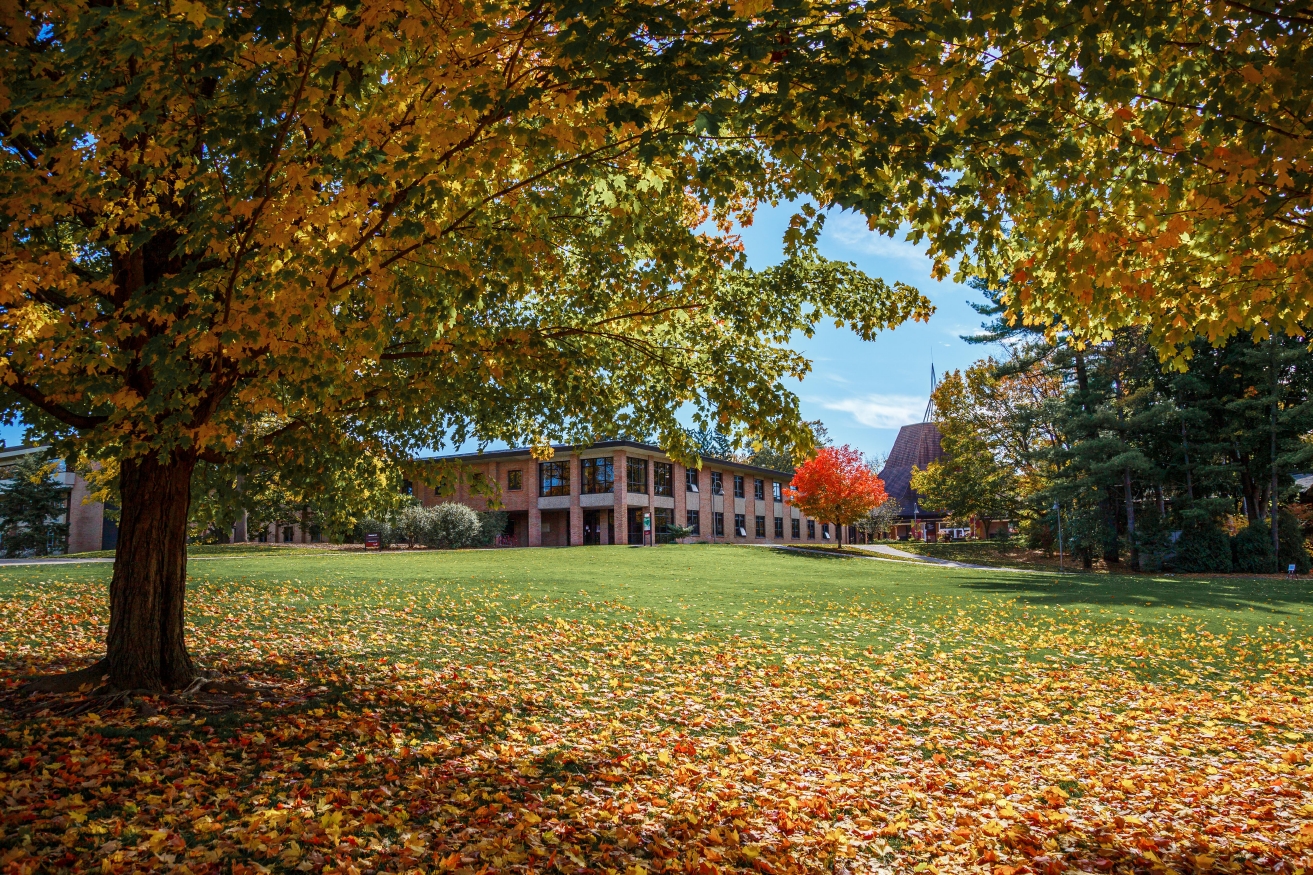 Calvin's campus on a fall day with yellow and red leaves on the trees and on the ground.